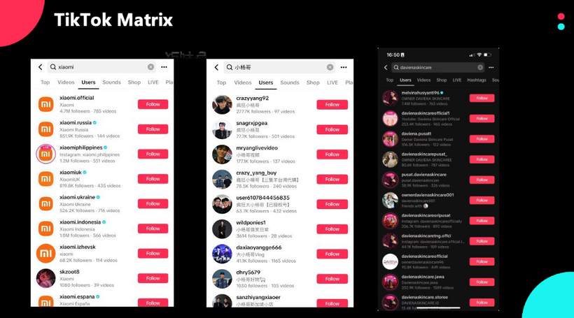 TikTok account Matrix